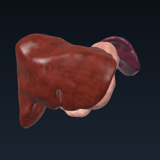 Pancreas and its surroundings