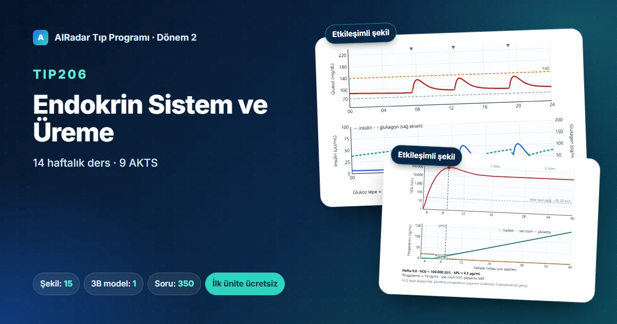 TIP206 Endocrine and Reproductive Systems