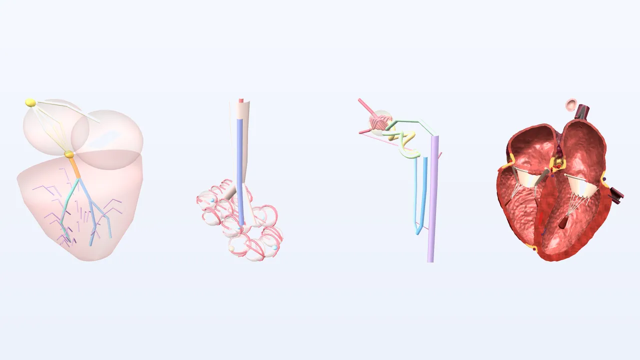 3D concept models made by our team for the Medical Programme