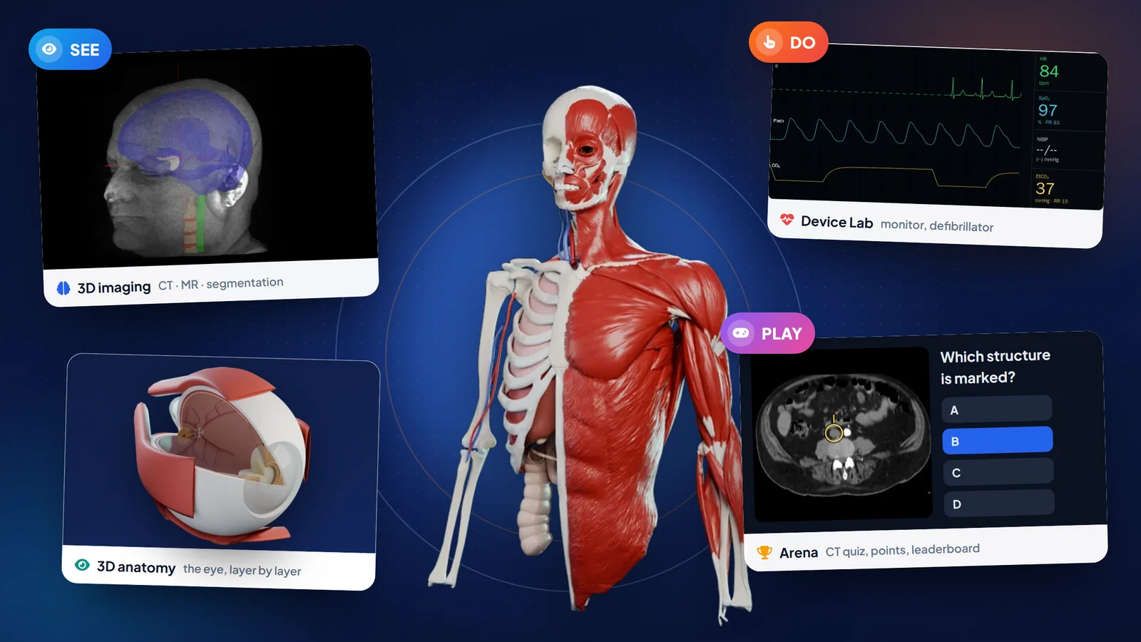 See, do, play: 3D anatomy, 3D imaging, the Device Lab monitor, a virtual patient and the Arena CT quiz